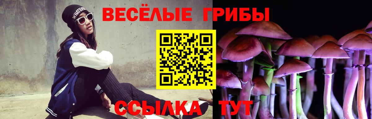 Псилоцибиновые грибы мицелий  Вход с VPN  Волгоград 